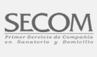 secom