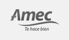 amec